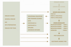 Wall Street College Education Framework